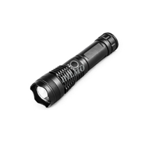 Flashlight FS11