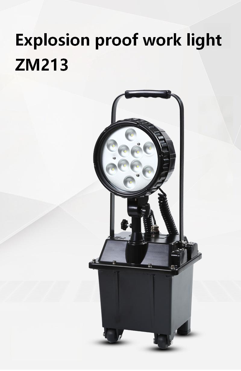 O1CN01f8hKNR1o2XIER53Zb_!!2215429845167-0-cib.jpg